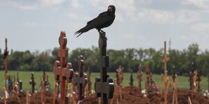 Ein Vogel sitzt auf einem Kreuz, das auf einem Gräberfeld steht