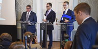 Bei einer Pressekonferenz spricht Timo Soini, Parteichef der „Wahren Finnen“