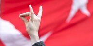 Wolfsgruss vor Türkischer Fahne