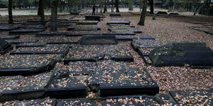 Grabsteine auf dem jüdischen Friedhof in Altona
