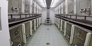 Ein gefliester Raum mit Käfigen aus Stahlgittern. Ein gefliester Raum mit Käfigen aus Stahlgittern.