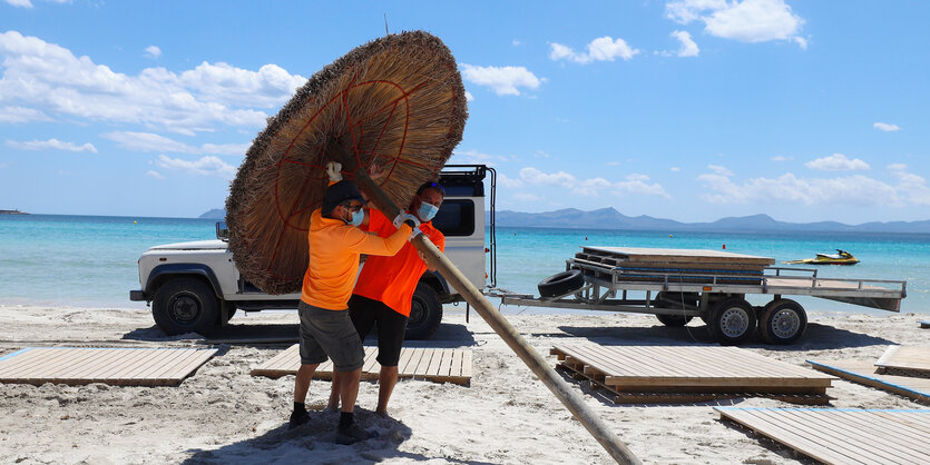 Männer mit Mundschutz stellen Sonnenschirme am Strand Alcudia im Norden von Mallorca auf.