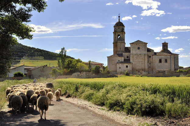 Eine Landschaft mit Schafen und Kirche.