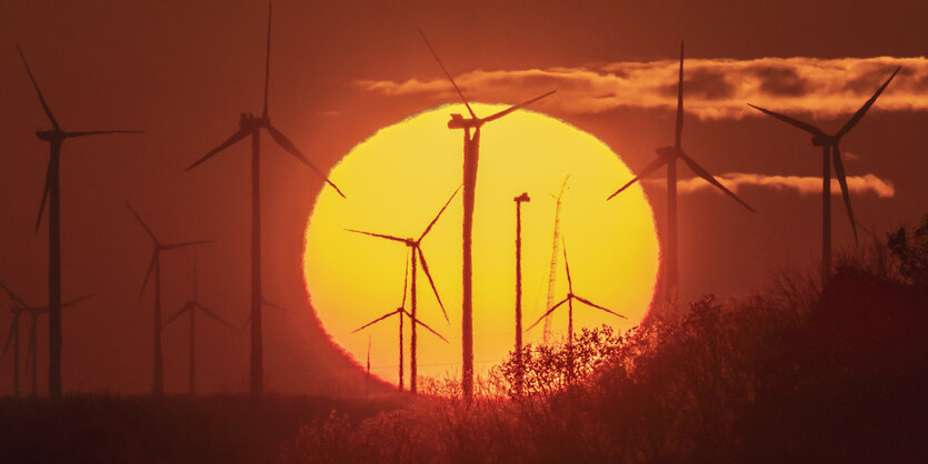 Windräder im Sonnenuntergang.