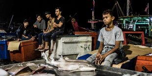 Mehrere Personen auf einem Fischmarkt