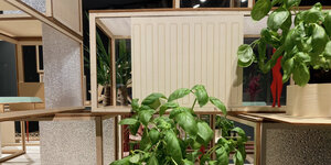 Ausschnitt des Architekturmodells „Frankfurt Prototype“: mehrere Etagen sind modular miteinander verbunden, anstelle von künstlichen Modellpflanzen stehen Basilikumpflanzen am Modell