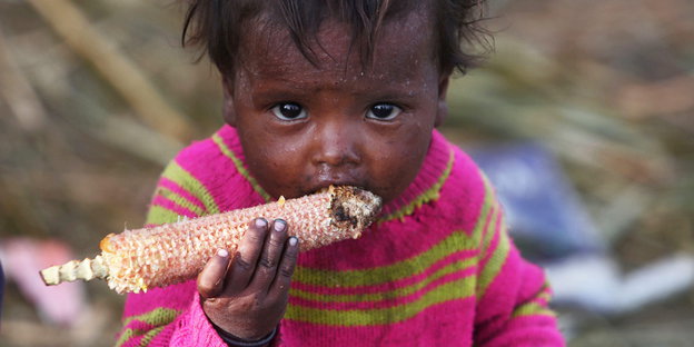 Ein indisches Kind in einem pinken Pullover isst die Reste eines Maiskolbens.