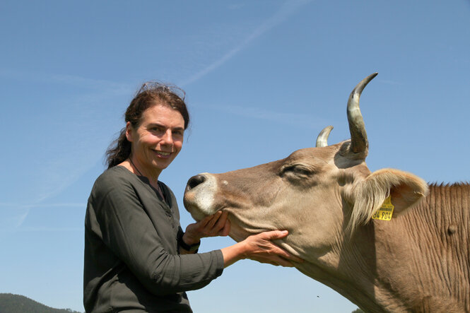 Kuh und Frau