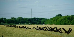 Panzersperren stehen in einem Getreidefeld