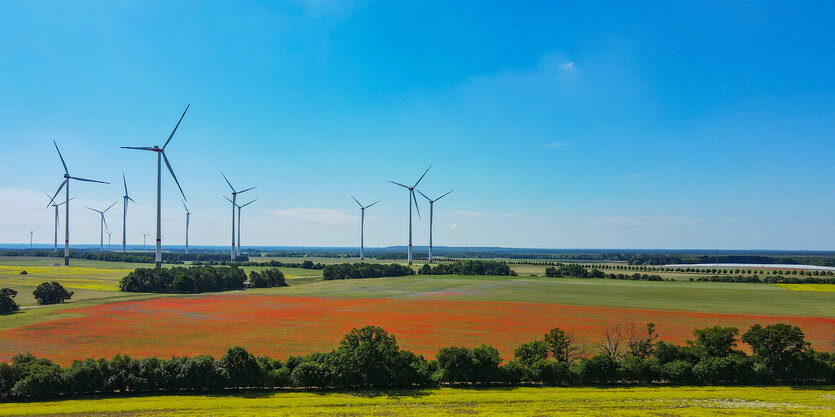 Landschaft mit Feldern und Mohnblumen, blauem Himmel und Windrädern.