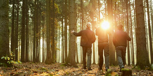Drei Förster im Wald beim Spaziergang oder Kontrollgang in der Abendsonne