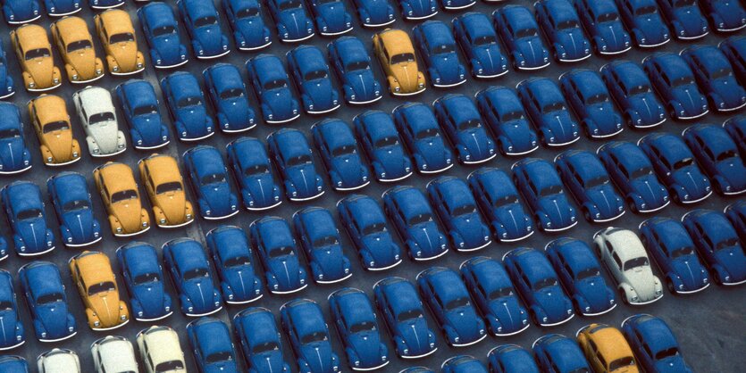 VW "Käfer" verschiedener Farben und Ausführungen stehen in enger Formation auf einem Parkplatz