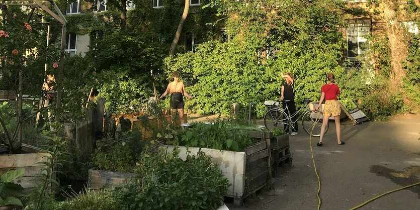 Ein Garten in einem Hinterhof im Wedding mit Hochbeeten und viel Grün und Menschen, die das Grün gießen