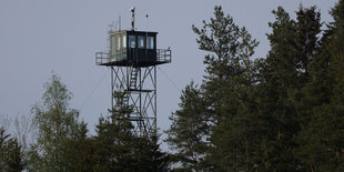 Turm im Wald