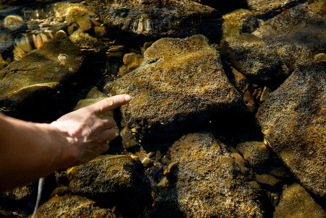 Eine hand deutet auf etwas im Wasser.