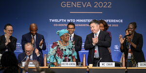 Mehrere Menschen stehen vor einem blauen Hintergrund mit dem Logo des WTO-Gipfels