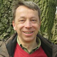 Thilo Heinken