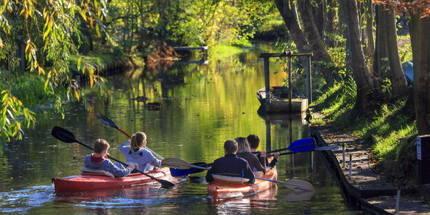 Kanufahrer paddeln auf einem schmalen Fluss, der von Bäumen überschattet wird