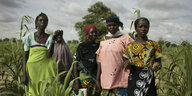 Westafrika: Junge Frauen stehen auf einem Feld