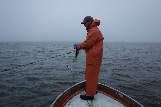 Ein Fischer in der Ostsee steht am Bug seines Schiffes