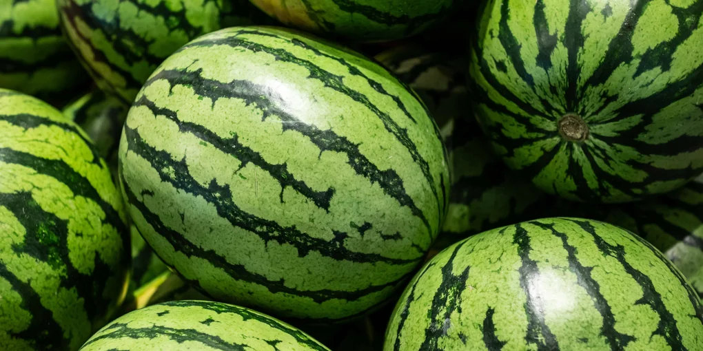 Futtern fr die Libido: Drei-Gnge-Men fr besseren Sex | taz.de
