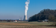 asserdampf steigt aus dem Kühltum vom Atomkraftwerk