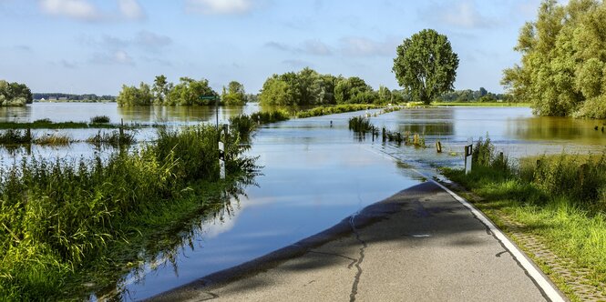 Eine teilweise überschwemmte Landstraße in einer Wiesenlandschaft