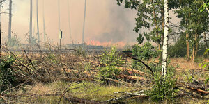 Flammen sind Waldstück bei einem Waldbrand zu sehen.