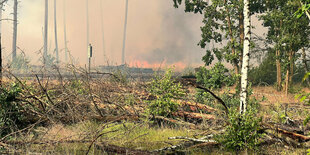 Flammen sind Waldstück bei einem Waldbrand zu sehen.