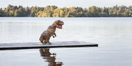 Person in orangefarbenem Dino-Kostüm steht auf einem Steg an einem See.