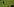 Der Bundeskanzler schreitet über eine Wiese, er sieht auf der riesigen, grünen Fläche sehr klein aus, weil er so weit weg ist. Vorne im Bild sind Menschen, die ihn fotografieren. Das Bild hat etwas leicht Lächerliches