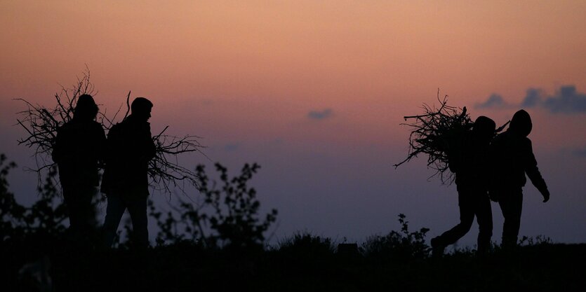 Holzsammler vor Abendsonne