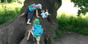 Kinder klettern an einem großen Baum