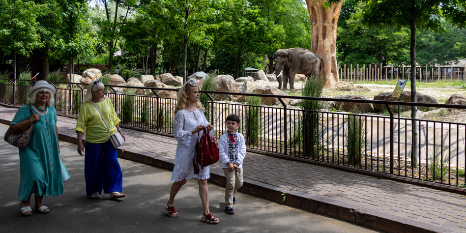 Elefantengehege im Kiewer Zoo.