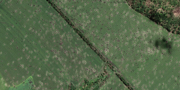 Satellitenaufnahme: ein grünes Feld mit sehr vielen Artilleriekratern