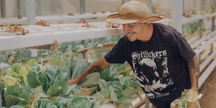 Tättowierter Mann in Bandshirt greift in ein Blumenbeet