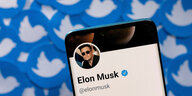 Im Hintergrund ganz viele Twitter-Logos, davor, auf dem Display eines Smartphones, das Twitter-Profil von Elon Musk