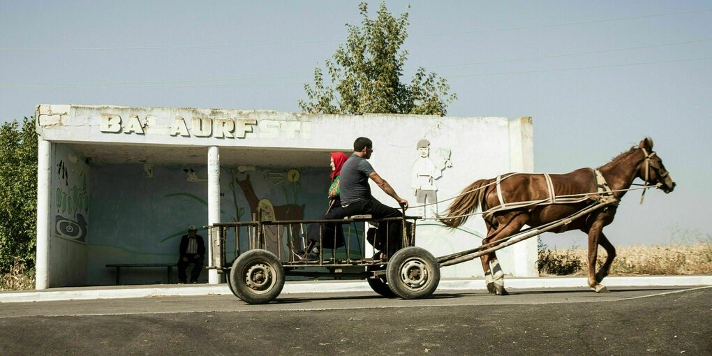 Ein Paar sitzt auf einem Leiterwagen, der von einem Pferd gezogen wird