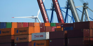 Container-Terminal in Hamburg, im Hintergrund Hafenkräne