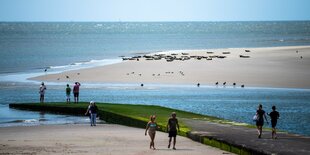 Menschen am Strand und Kegelrobben auf einer Sandbank.