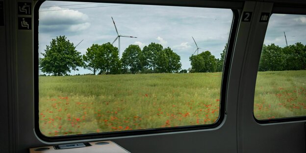 Blick aus dem Fenster eines Regionalzugs: Landschaft in der Uckermark