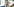 CSU-Chef Markus Söder im Porträt
