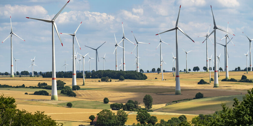 Windräder in flacher Landschaft