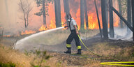Ein Feuerwehrmann löscht einen Waldbrand