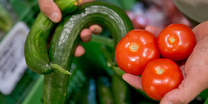 Krumme Gurken und Tomaten