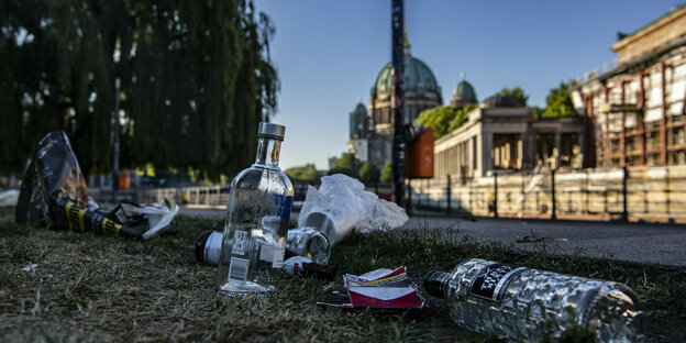 Müll liegt auf einem Rasen, im Hintergrund die Museumsinsel