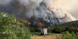 Rauschwaden und Feuer im Hintergrund. Im Vordergrund ein Feld