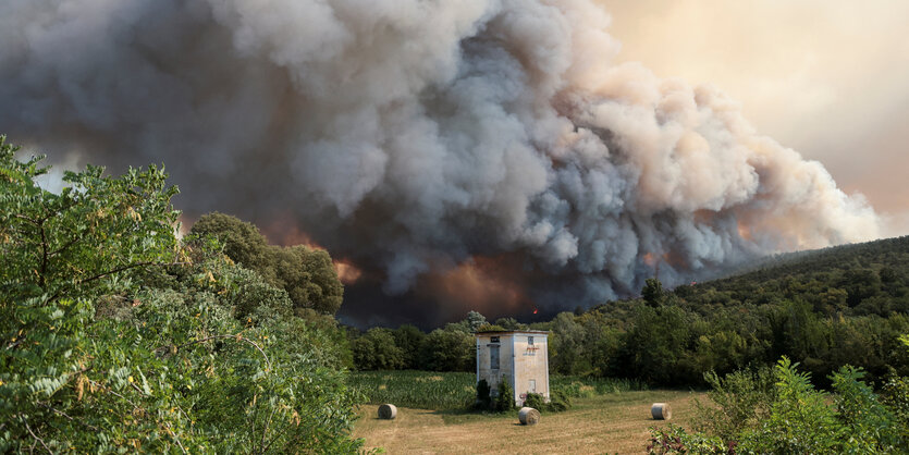 Rauschwaden und Feuer im Hintergrund. Im Vordergrund ein Feld