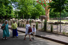 Menschen im Zoo vor einem Elefantenfreigehege