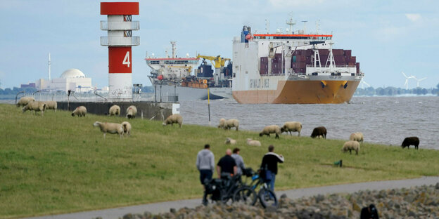 Ein Frachtschiff und ein Baggerschiff fahren auf der Elbe am Elbdeich, auf dem Schafe grasen und Menschen spazieren gehen, vorbei. Im Hintergrund links ist das Atomkraftwerk Brokdorf zu sehen.